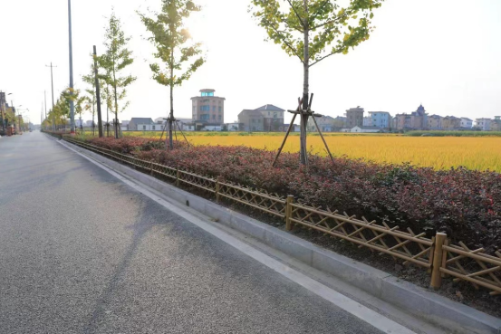 杭州市钱塘区新湾街道“路长制”管理，全力推进道路颜值大提升